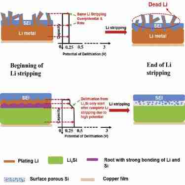 Unveiling Efficiency: The Modern Rice Mill Plant Revolution