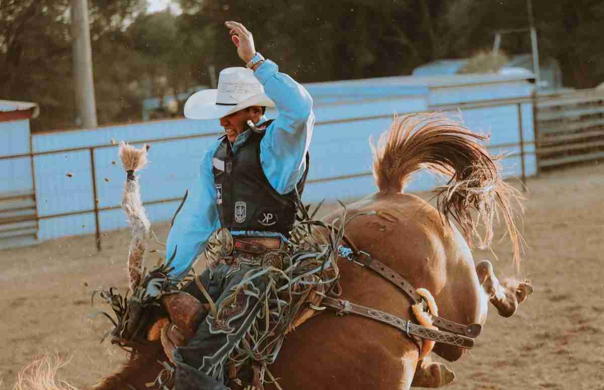 Reviving Tradition: The Rise of Mini Rice Mills in Agriculture
