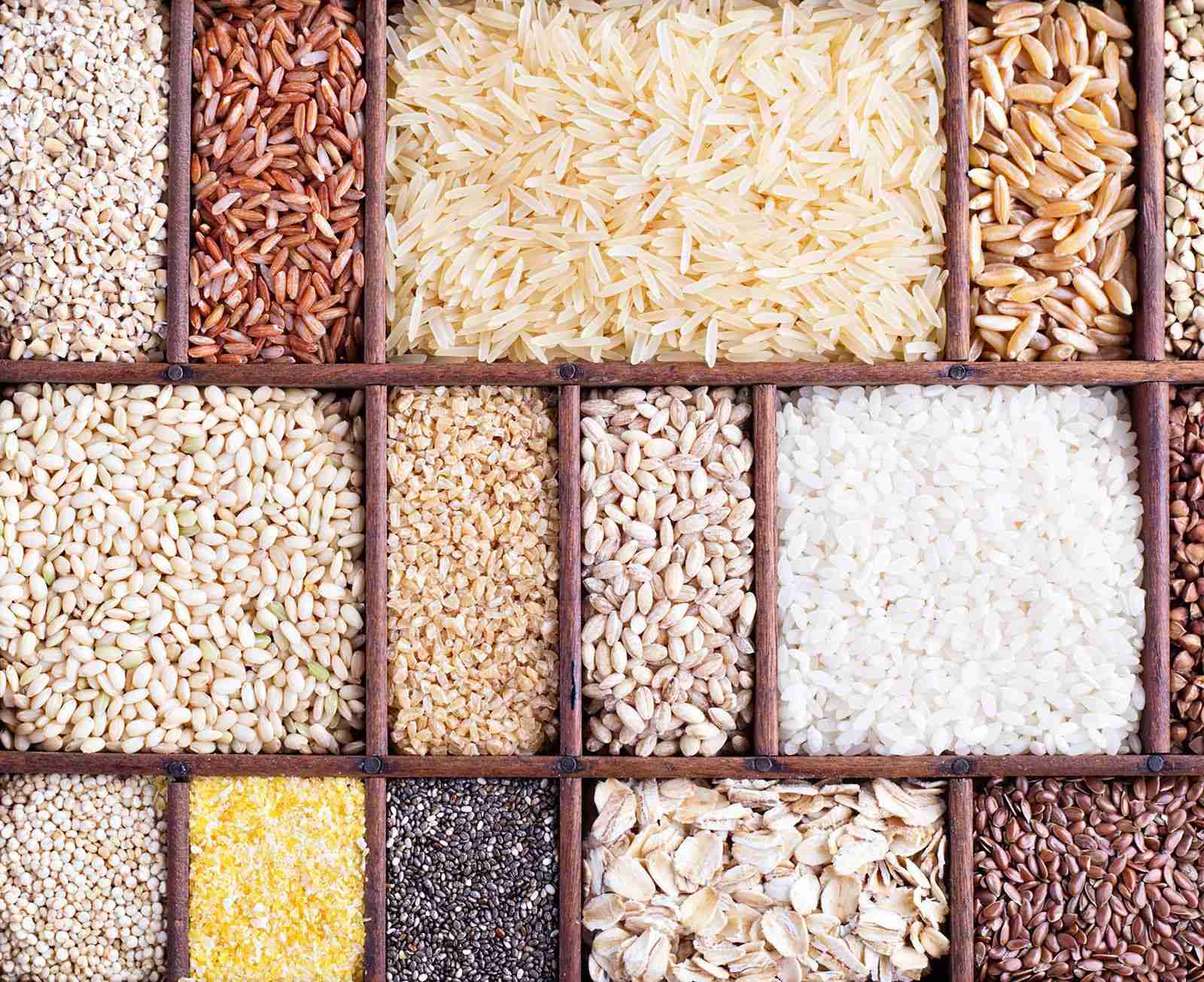Grain to Gold: The Essential Role of Rice Mills in Farming