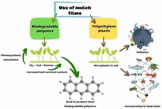 Revolutionizing Grain: The Mini Rice Milling Machine Unveiled