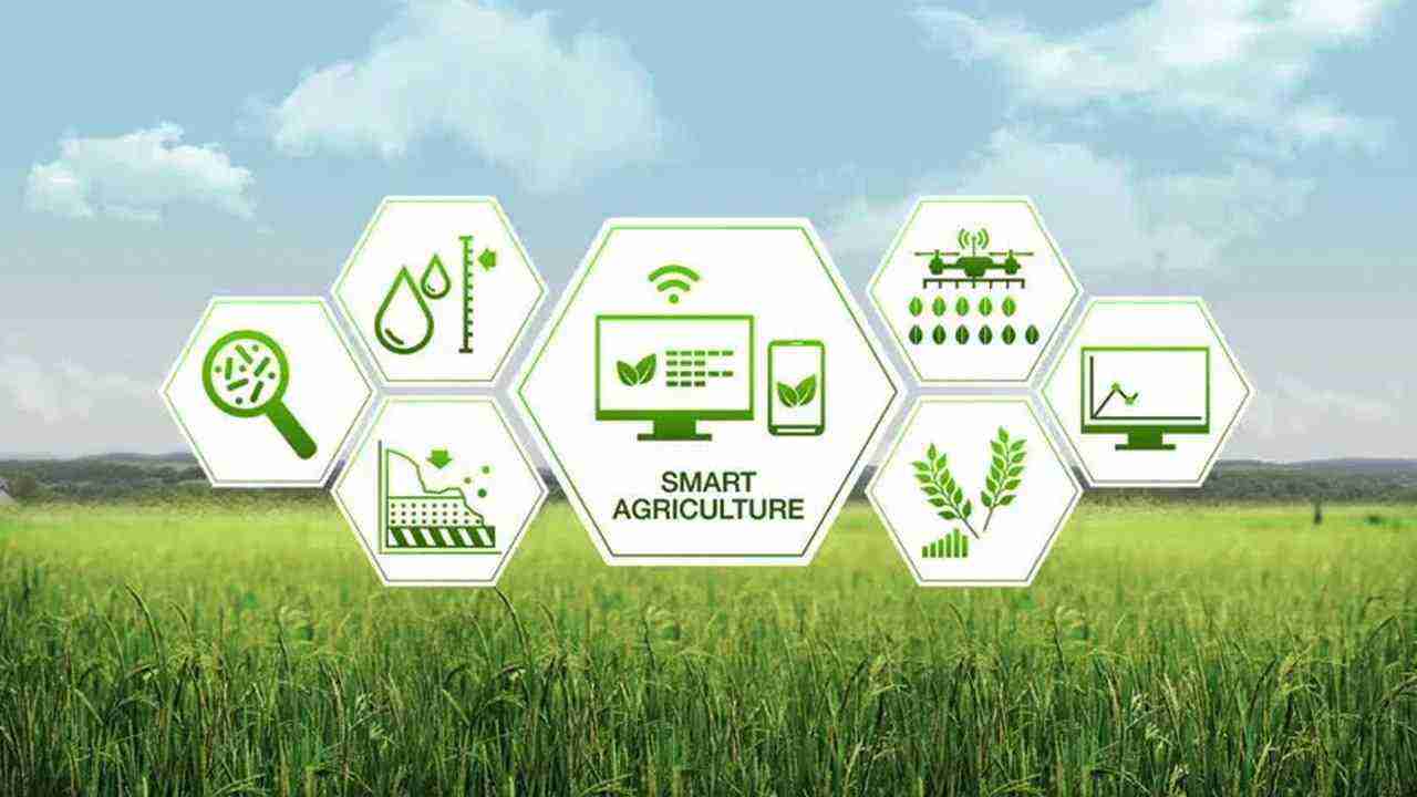 Transforming Agriculture: The Rise of Combined Mini Rice Mills