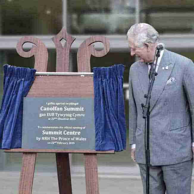 Unveiling the Rice Milling Unit: A Grain Transformation Hub