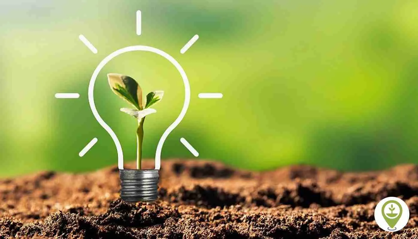 Corn Processing: From Field to Flour - An In-Depth Journey 4 Sustainability Practices in Corn Processing for Future Generations