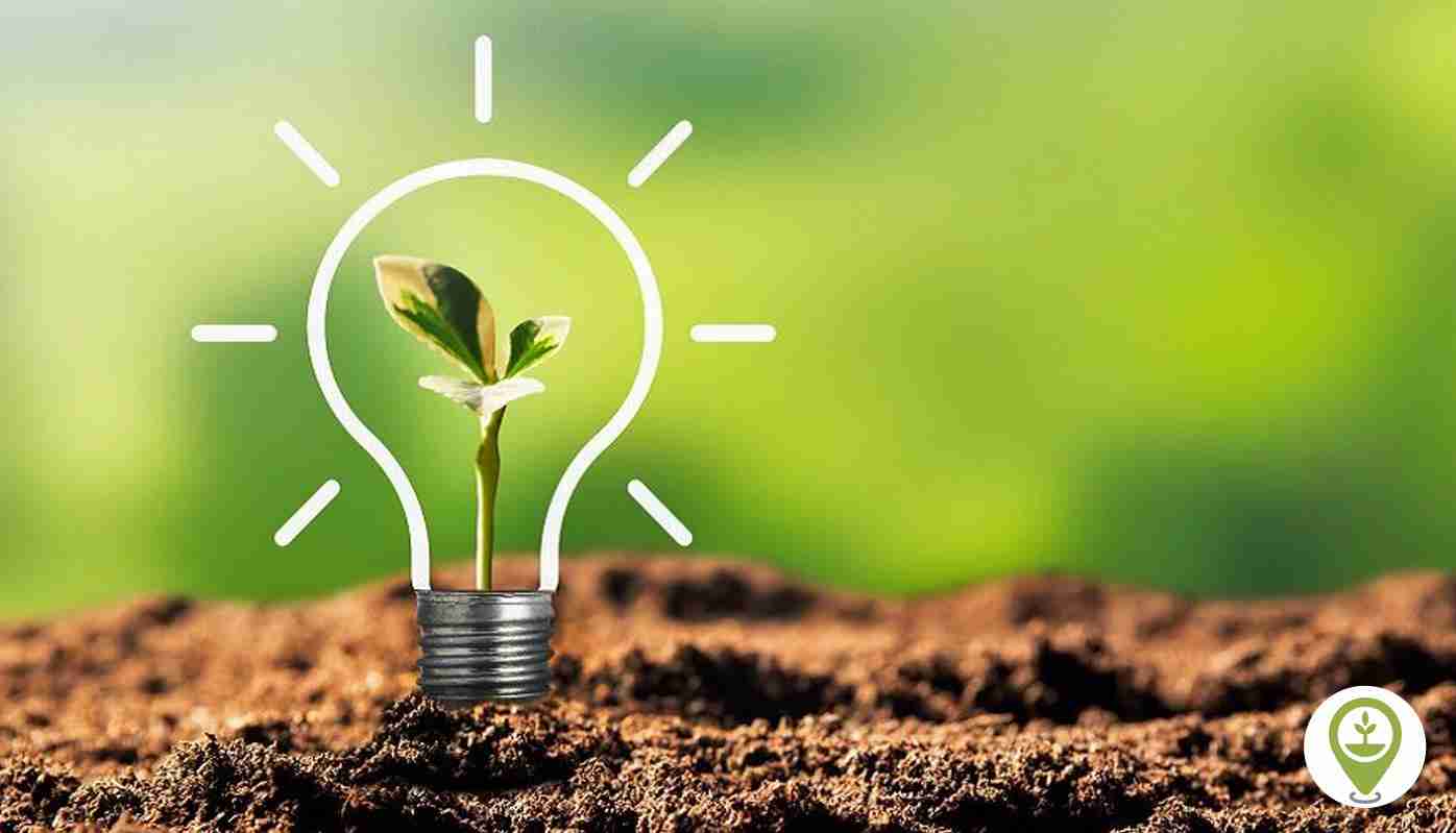 Inside the World of Rice Mills: Processes and Innovations 3 Sustainability Practices in Modern Rice Milling