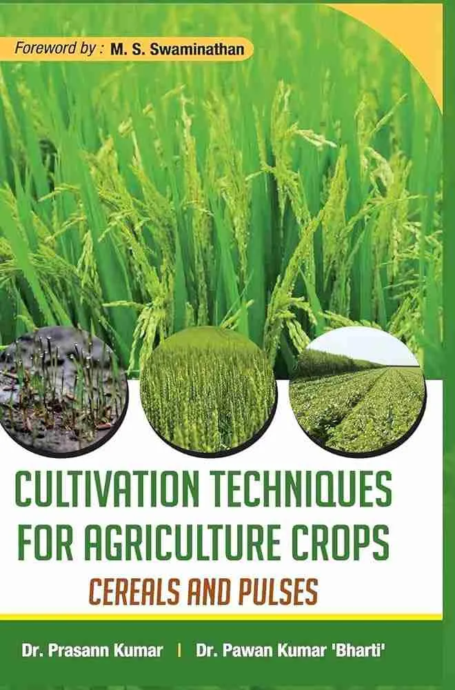 From Field to Fork: The Journey of Rice Processing Unveiled 1 Exploring the Cultivation Techniques that Shape Quality Rice