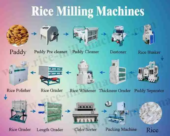 Revolutionizing Grains: The Rise of Automatic Rice Mills 1 The Evolution of Rice Milling Technology and Its Impact on Agriculture