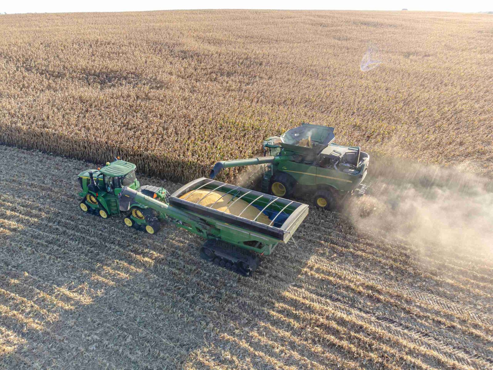 Unlocking Efficiency: The Versatile Combine Mini Rice Mill 1 Exploring the Multifunctional Advantages of the Combine Mini Rice Mill