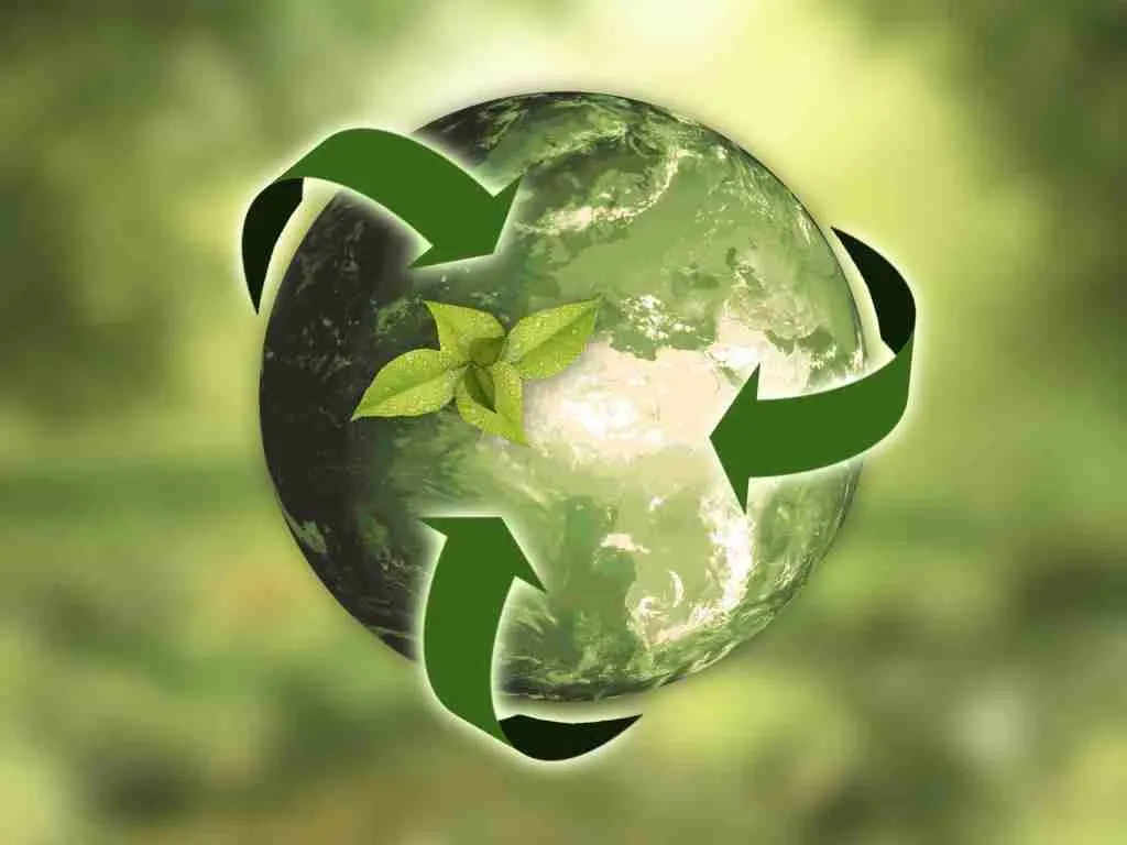 Sustainability in Maize Milling: Practices for an Eco-Friendly Operation