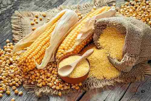 Unlocking the Potential: The Art and Science of Maize Milling 1 Exploring the Historical Evolution of Maize Milling Techniques
