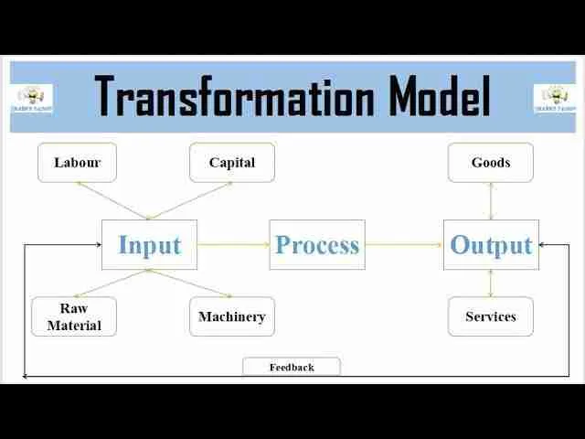 From Field to Table: The Journey of Paddy Processing 3 Transformative Processes: Understanding Milling and Its Impact on Rice Quality