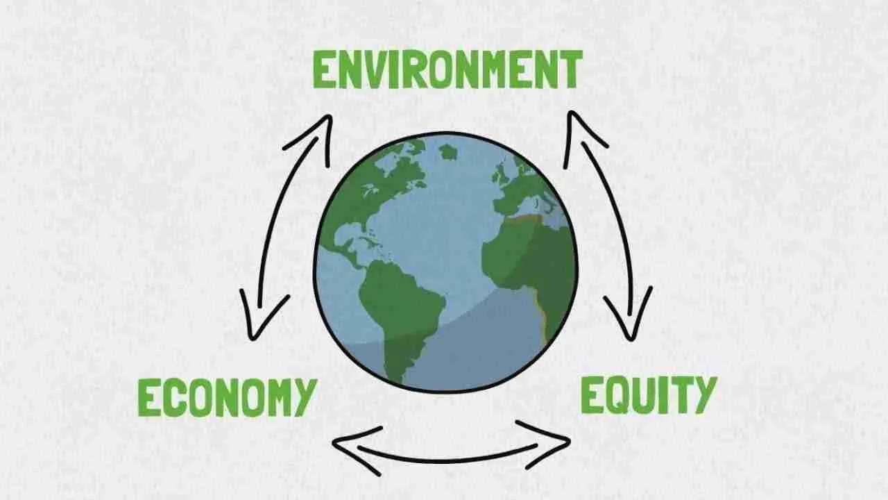 Revolutionizing Rice: The Role of Paddy Processing Machines 3 Sustainability in Paddy Processing: Innovations for a Greener Future