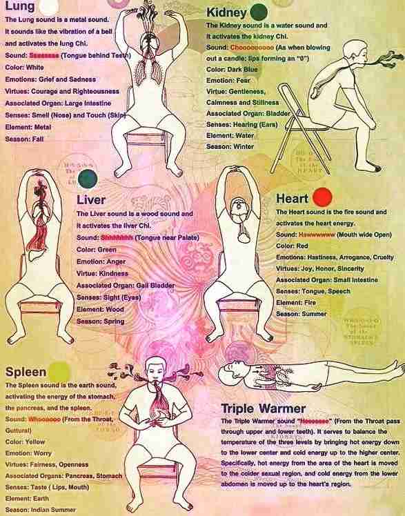 From Field to Bowl: The Journey of Rice Processing 1 The Cultivation Techniques That Shape Quality Rice