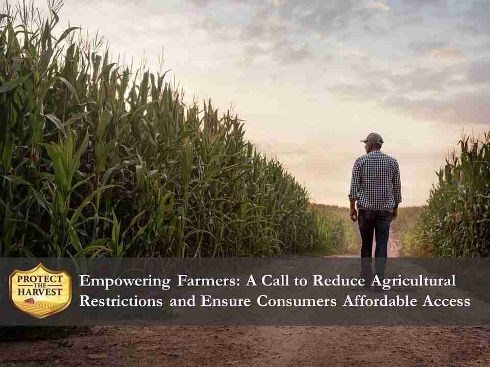 Unlocking Agri-Tech: The Rise of Mini Rice Mills 3 Empowering Farmers: The Economic Benefits of Adopting Agri-Tech Solutions