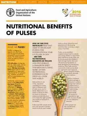 Nutritional Benefits of Processed Corn: Enhancing Diet with Flavor