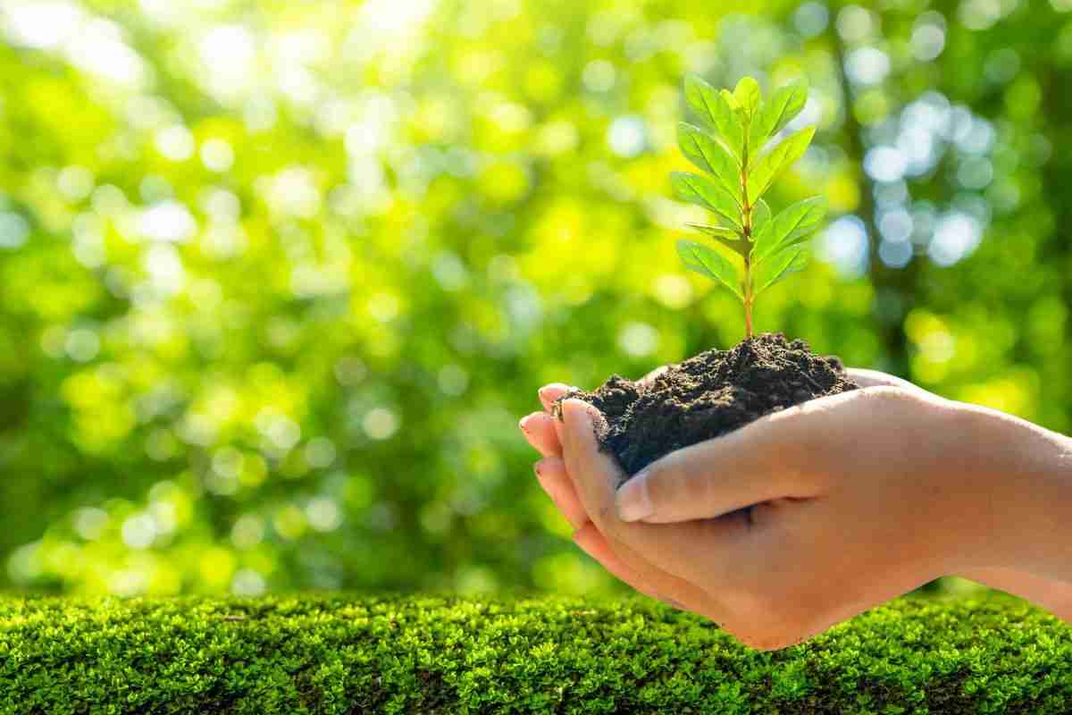 Streamlining Efficiency: The Power of Combined Rice Mill Machines 3 Reducing Operational Costs: A Case for Multi-Function Machinery