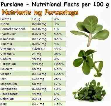 Unlocking the Secrets of Corn Processing: From Cob to Creation 2 Understanding the Nutritional Benefits of Processed Corn Products