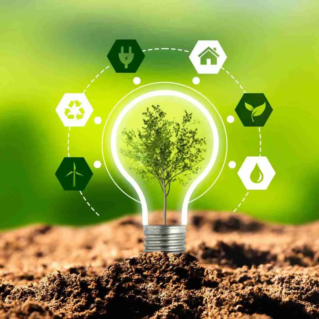 Revolutionizing Grains: The Efficiency of Combined Rice Milling 3 Sustainable Solutions: Reducing Waste in Rice Processing
