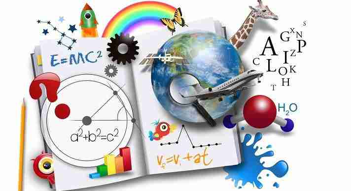 Inside the Paddy Processing Factory: Where Grain Meets Grain 2 The Science of Paddy Processing: Techniques and Technologies