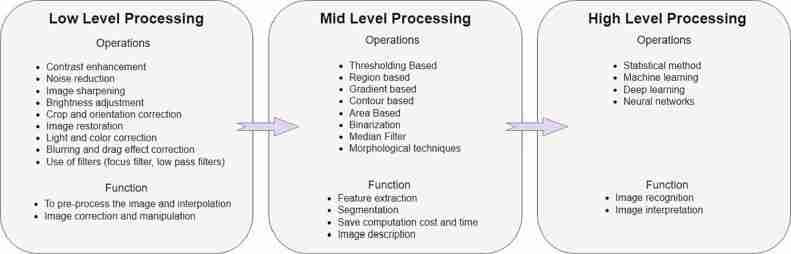 From Field to Bowl: The Journey of Paddy Processing 2 Unveiling the Processing Techniques: Milling and Beyond