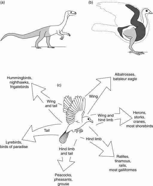 Transforming Grains: The Revolution of Rice Processing Machines 2 Key Innovations Driving Efficiency and Quality