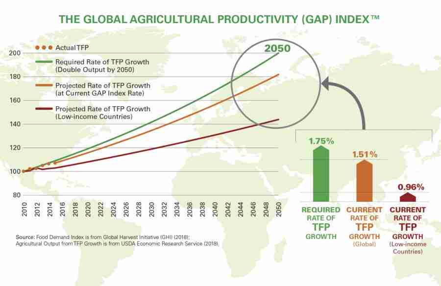 Unlocking Efficiency: The Rise of the Combined Mini Rice Mill 2 Enhancing Agricultural Productivity Through Integrated Milling Solutions