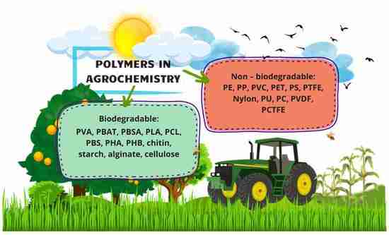 Revolutionizing Rice Production: The Power of Processing Machines