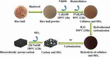 Inside the Heart of Harvest: Exploring Paddy Processing Factories