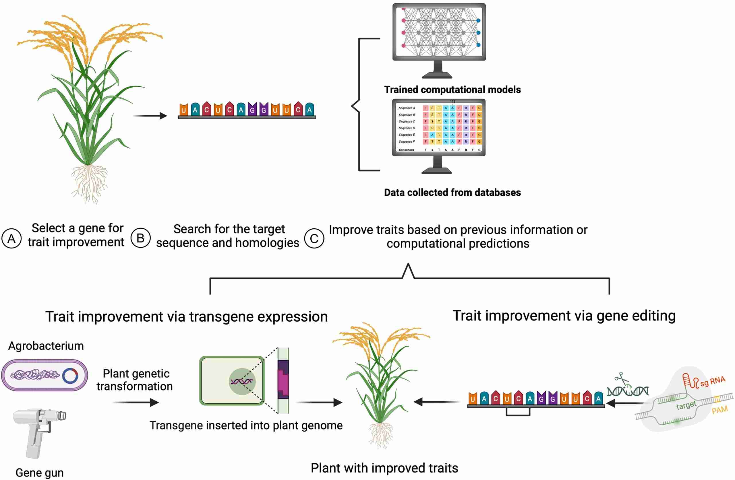 Unlocking Efficiency: The Future of Mini Rice Mill Plants
