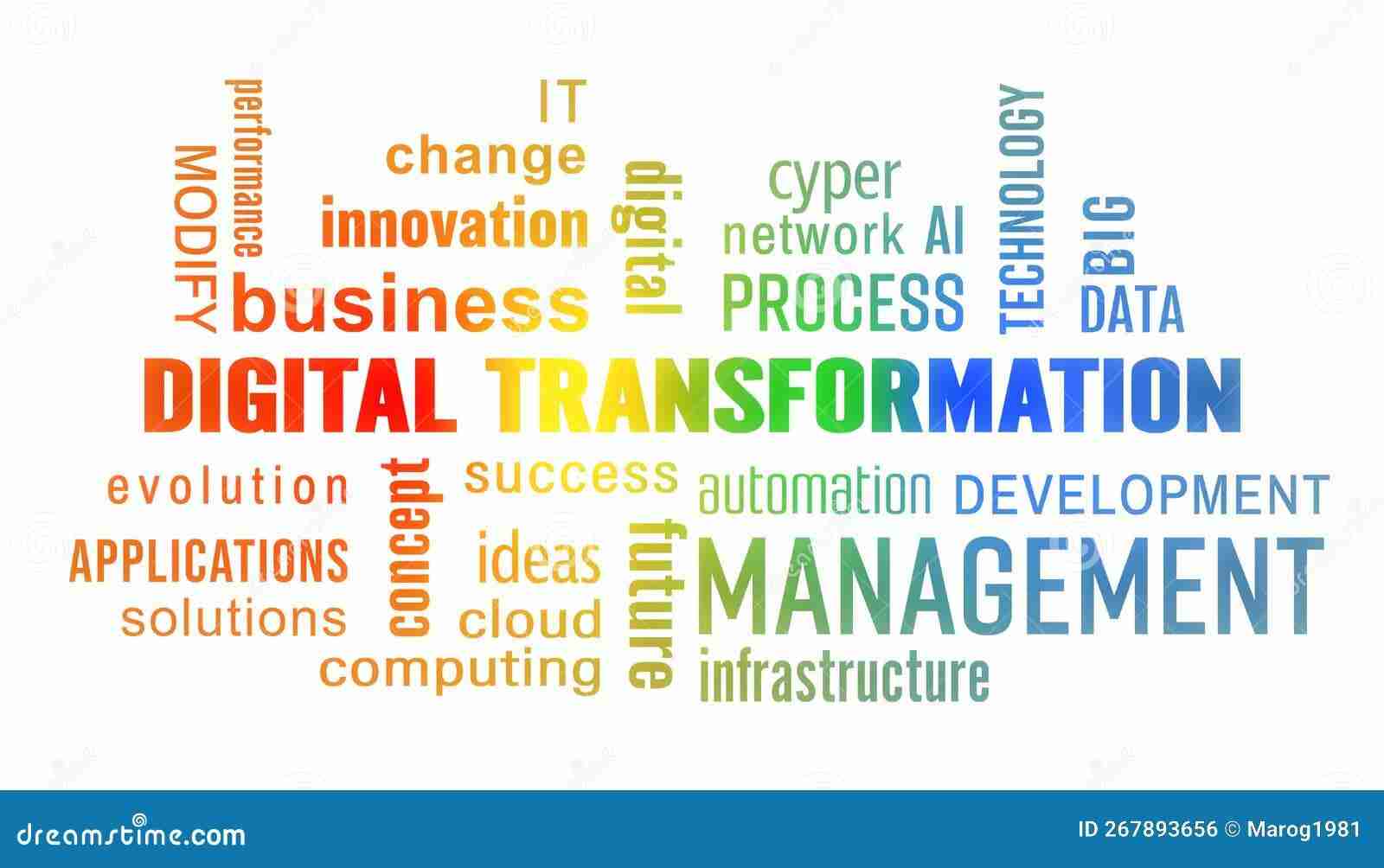 Transforming Grains: The Rise of the Small Rice Mill