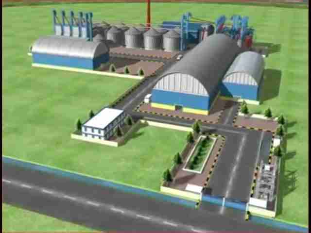 Inside the Paddy Processing Factory: Where Grain Meets Grain