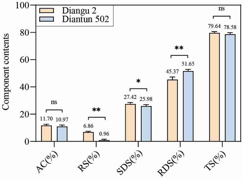 Discovering the Mini Rice Mill: A Compact Grain Solution