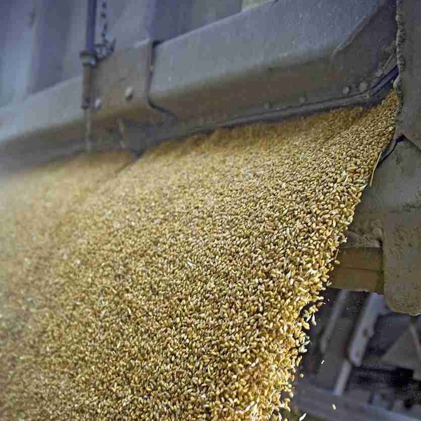 Revolutionizing Grain Processing: The Mini Rice Mill Marvel