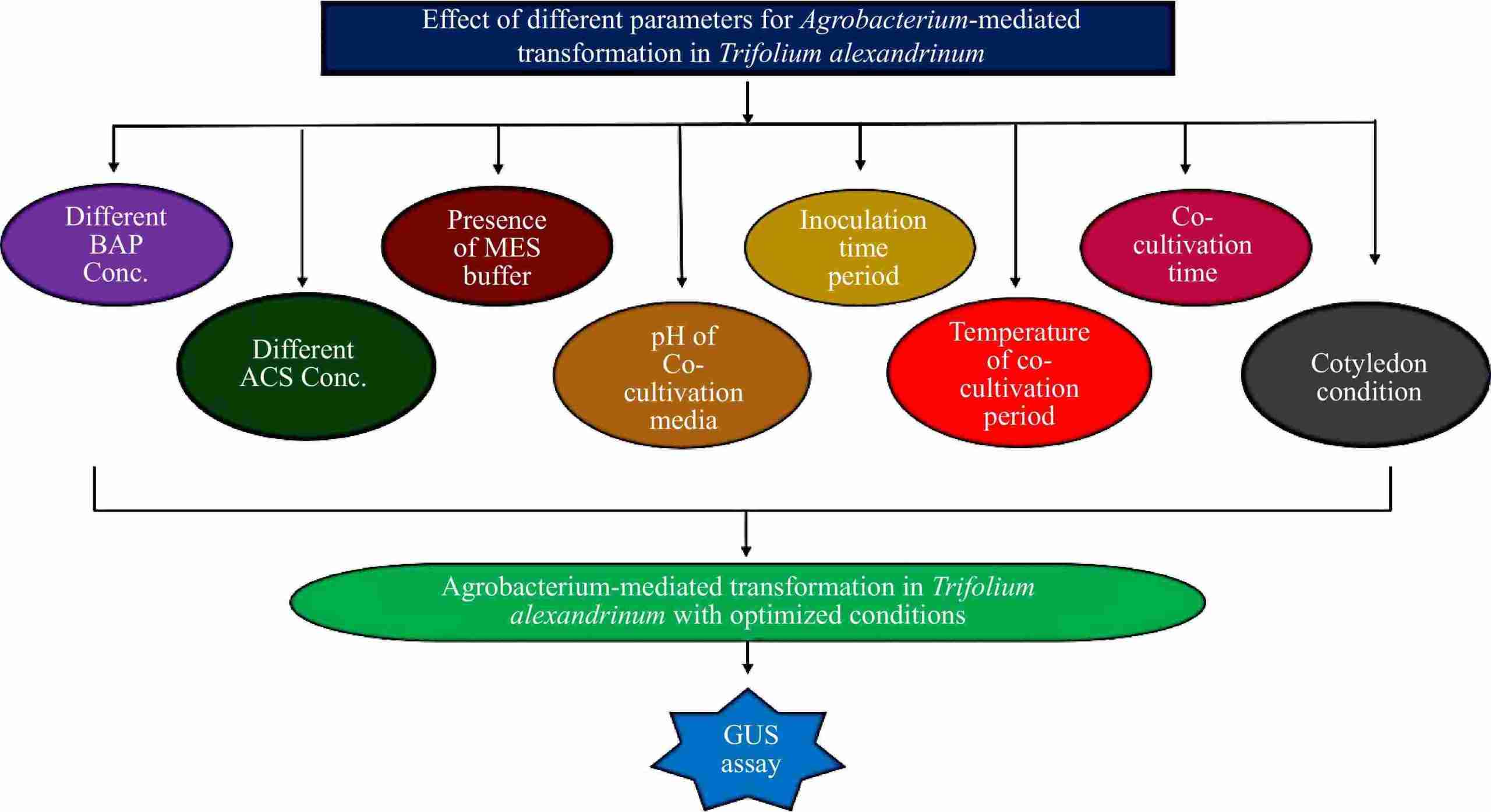 Unlocking Efficiency: The Rise of Combined Rice Milling Machines