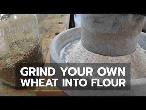 Grinding Grain: The Modern Journey of a Rice Mill Industry