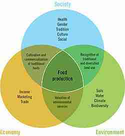Unlocking Efficiency: The All-in-One Rice Mill Machine 1 Understanding the Multifunctionality of All-in-One Rice Mill Machines