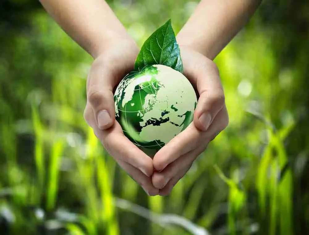 Unlocking Efficiency: The Future of Commercial Rice Milling 2 Sustainable Practices: Redefining Resource Management in the Industry