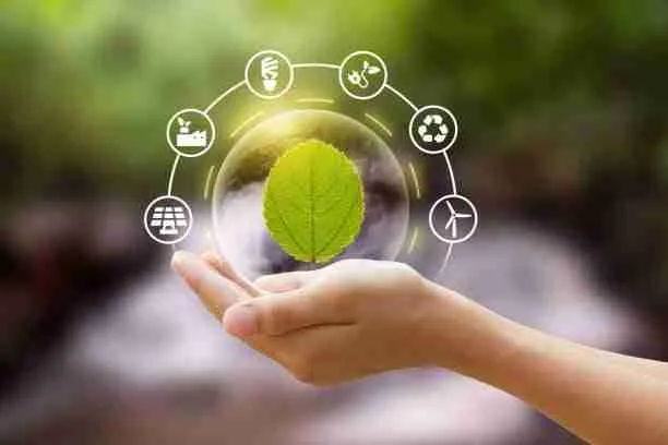 Sustainable Practices in Paddy Processing: Innovations for a Greener Future