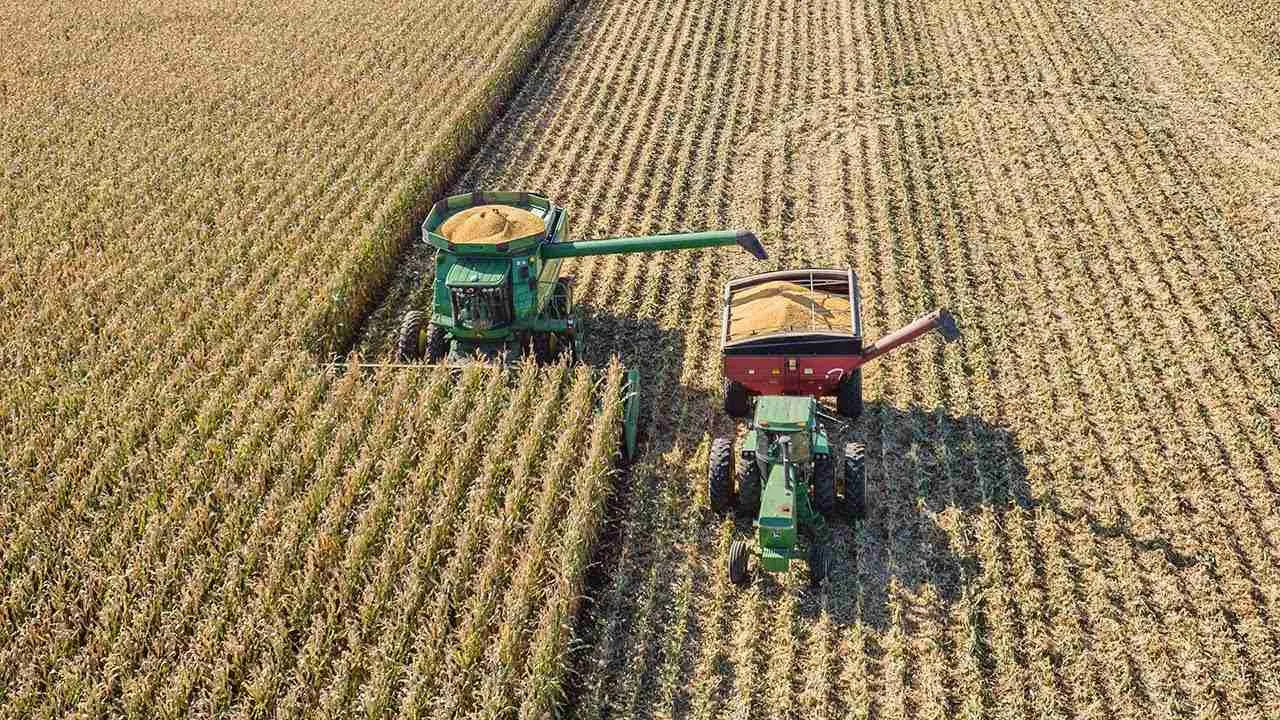 From Field to Factory: The Journey of Corn Processing 1 Exploring the Corn Harvest: Best Practices for Sustainable Farming