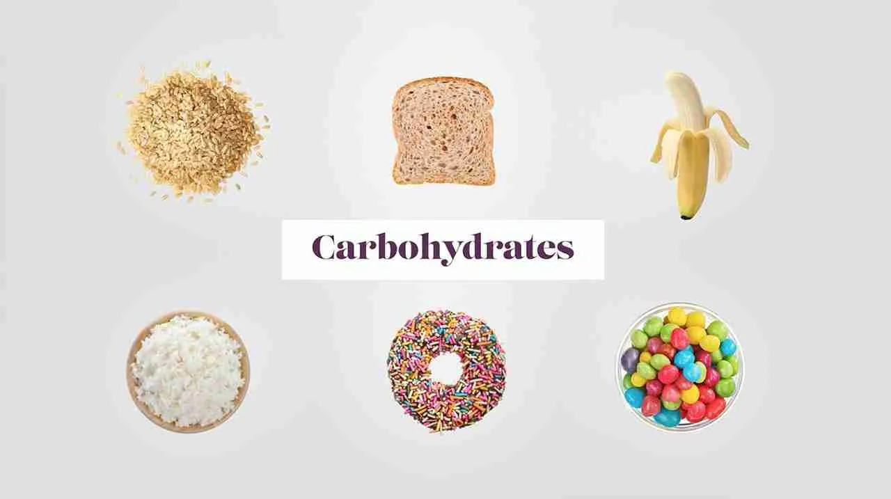 Turning Grains into Goodness: The Art of Cereal Milling 1 Exploring the Grain Spectrum: Choosing the Right Raw Materials