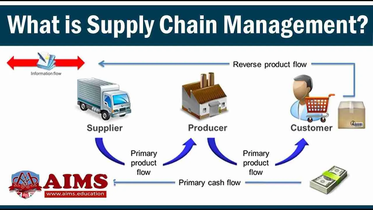 Unlocking Efficiency: The Future of Rice Processing Plants 3 Optimizing Supply Chain Management for Cost Efficiency