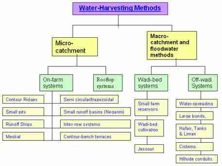 From Field to Flour: The Life Cycle of Corn Processing 2 Harvesting Techniques and Their Impact on Grain Quality