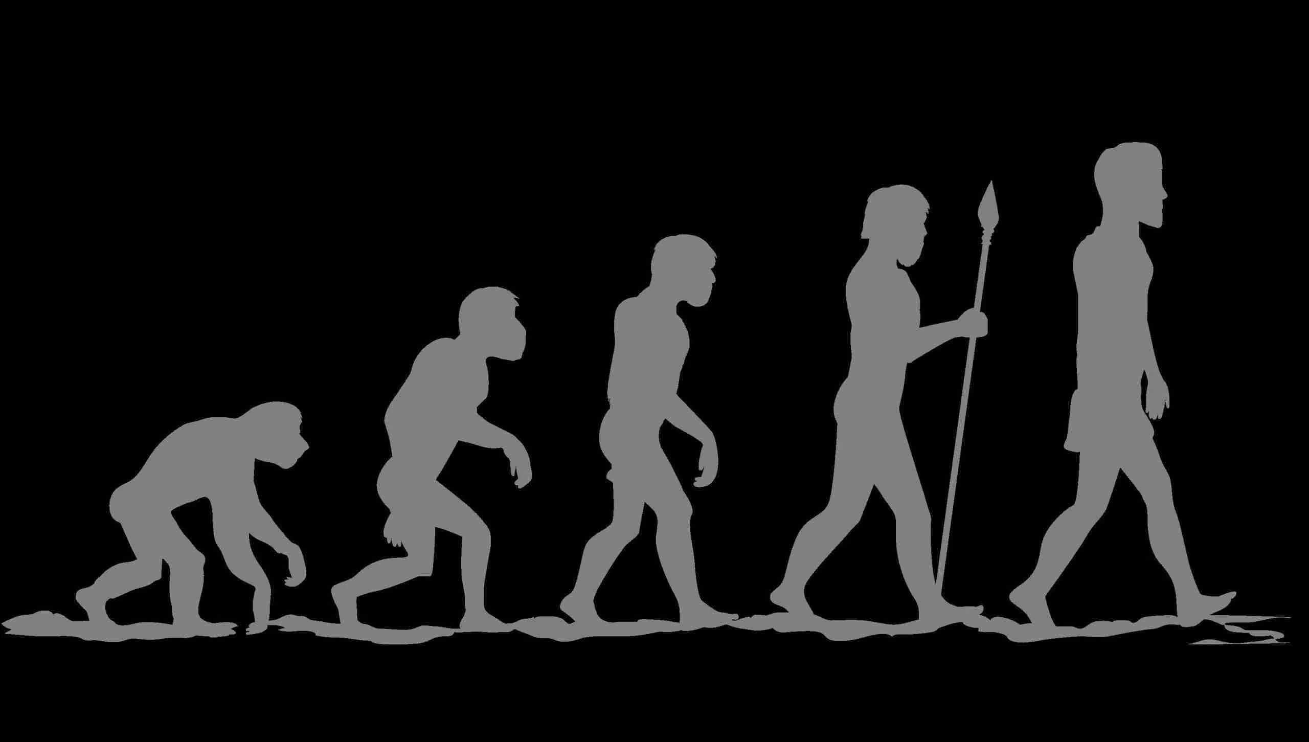The Evolution ⁢of Rice‍ Processing Technology