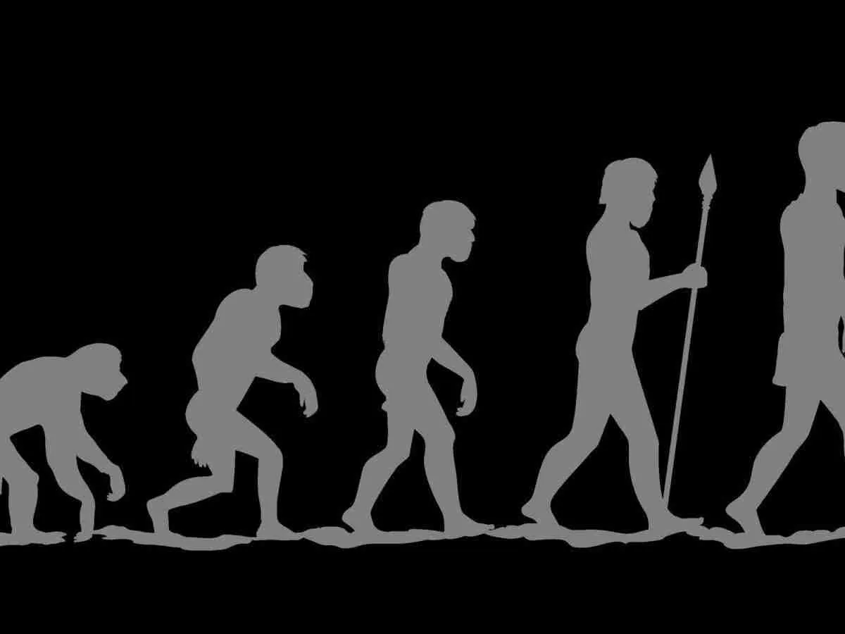 The Evolution of Paddy Processing⁤ Technologies
