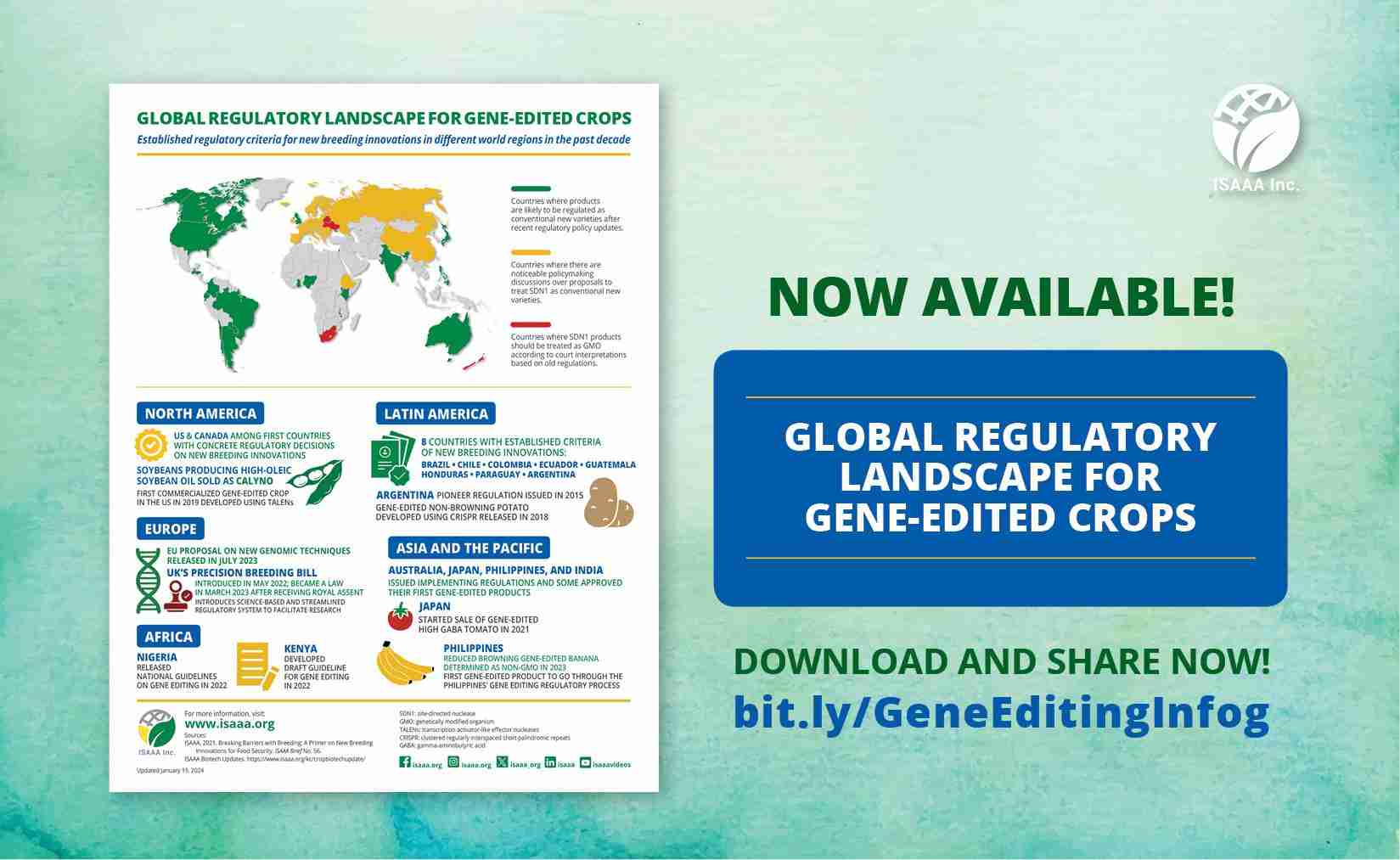Turning Grain into Gold: Launching a 2-Ton Rice Mill Project 3 Navigating Regulatory Landscapes and Securing Funding Opportunities