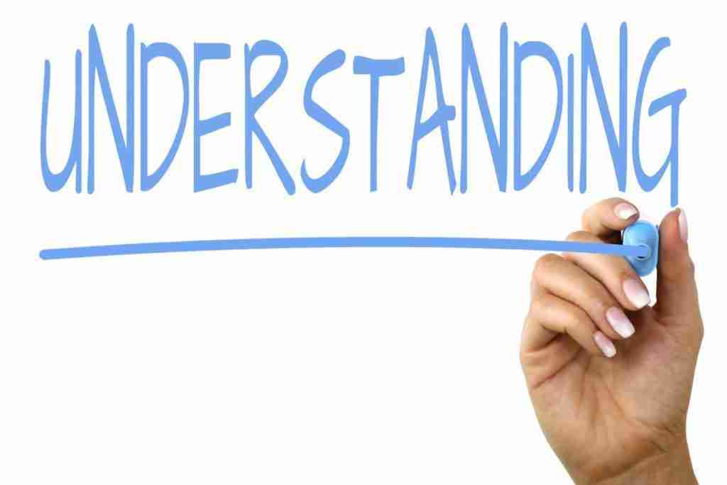 From Paddy to Plate: The Art and Science of Rice Processing 2 Understanding the Essential Processing Techniques for Quality Grain