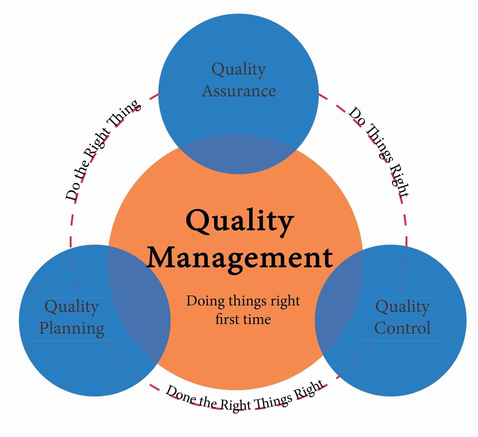 Quality Control in Cereal Production: Ensuring Consistency and Safety