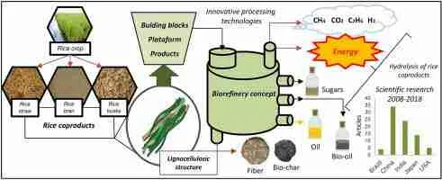 Turning Grains into Gold: The 2 Ton Rice Mill Plant Project 1 Innovative Techniques for Rice Processing and Value Addition