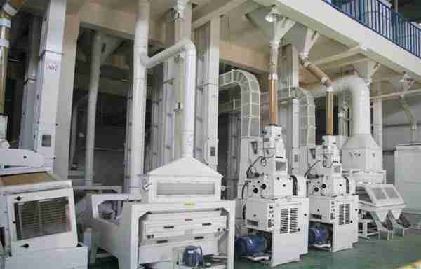 Revolutionizing Harvest: The Future of Paddy Processing Machines