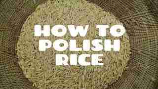 Unlocking Perfection: The Art of Rice Polishing Explained