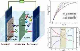 Unlocking Potential: The 4 Ton Rice Mill Plant Journey